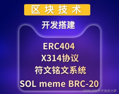 區塊鏈核心技術開發全棧實踐 從x314協議到智能合約與公鏈搭建